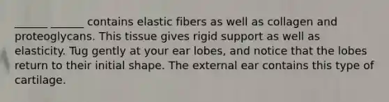 ______ ______ contains elastic fibers as well as collagen and proteoglycans. This tissue gives rigid support as well as elasticity. Tug gently at your ear lobes, and notice that the lobes return to their initial shape. The external ear contains this type of cartilage.