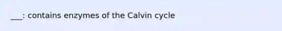 ___: contains enzymes of the Calvin cycle