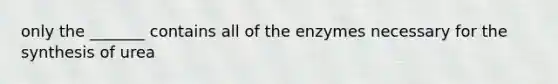 only the _______ contains all of the enzymes necessary for the synthesis of urea