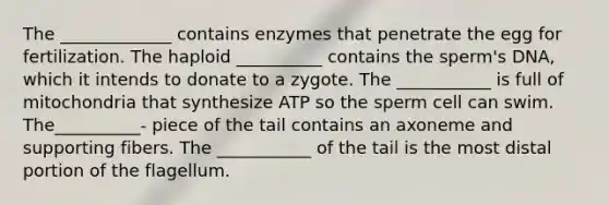 The _____________ contains enzymes that penetrate the egg for fertilization. The haploid __________ contains the sperm's DNA, which it intends to donate to a zygote. The ___________ is full of mitochondria that synthesize ATP so the sperm cell can swim. The__________- piece of the tail contains an axoneme and supporting fibers. The ___________ of the tail is the most distal portion of the flagellum.