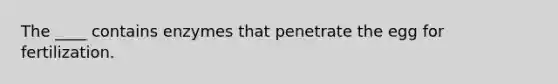 The ____ contains enzymes that penetrate the egg for fertilization.