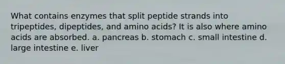 What contains enzymes that split peptide strands into tripeptides, dipeptides, and amino acids? It is also where amino acids are absorbed. a. pancreas b. stomach c. small intestine d. large intestine e. liver