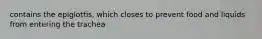 contains the epiglottis, which closes to prevent food and liquids from entering the trachea