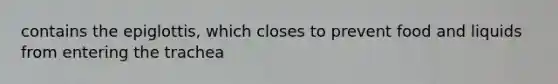 contains the epiglottis, which closes to prevent food and liquids from entering the trachea