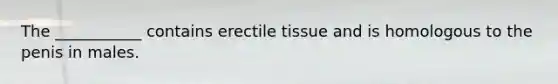 The ___________ contains erectile tissue and is homologous to the penis in males.