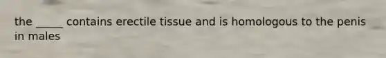 the _____ contains erectile tissue and is homologous to the penis in males