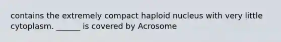 contains the extremely compact haploid nucleus with very little cytoplasm. ______ is covered by Acrosome