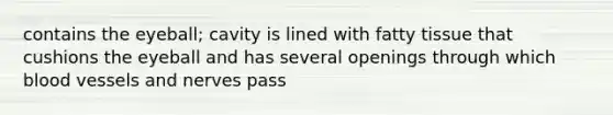 contains the eyeball; cavity is lined with fatty tissue that cushions the eyeball and has several openings through which blood vessels and nerves pass
