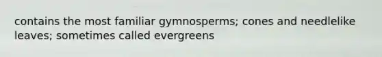 contains the most familiar gymnosperms; cones and needlelike leaves; sometimes called evergreens