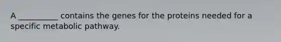 A __________ contains the genes for the proteins needed for a specific metabolic pathway.