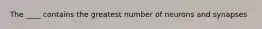 The ____ contains the greatest number of neurons and synapses