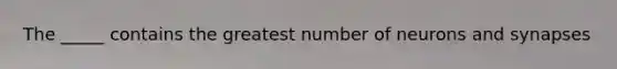 The _____ contains the greatest number of neurons and synapses