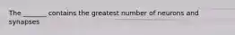 The _______ contains the greatest number of neurons and synapses