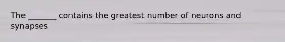 The _______ contains the greatest number of neurons and synapses