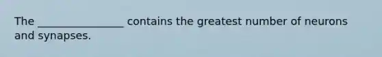 The ________________ contains the greatest number of neurons and synapses.