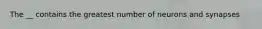 The __ contains the greatest number of neurons and synapses