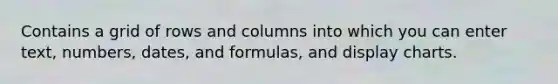 Contains a grid of rows and columns into which you can enter text, numbers, dates, and formulas, and display charts.