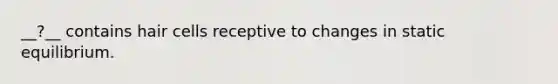 __?__ contains hair cells receptive to changes in static equilibrium.