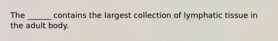 The ______ contains the largest collection of lymphatic tissue in the adult body.