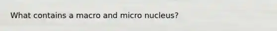 What contains a macro and micro nucleus?