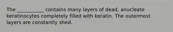 The ___________ contains many layers of dead, anucleate keratinocytes completely filled with keratin. The outermost layers are constantly shed.