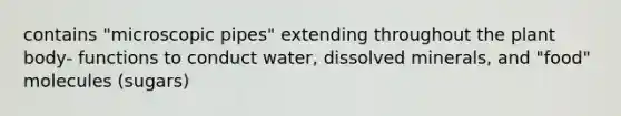 contains "microscopic pipes" extending throughout the plant body- functions to conduct water, dissolved minerals, and "food" molecules (sugars)