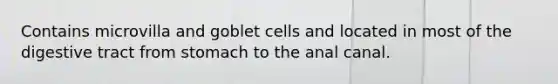 Contains microvilla and goblet cells and located in most of the digestive tract from stomach to the anal canal.