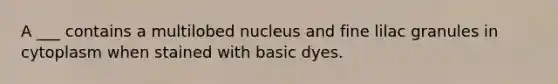 A ___ contains a multilobed nucleus and fine lilac granules in cytoplasm when stained with basic dyes.