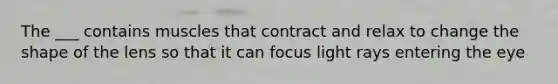 The ___ contains muscles that contract and relax to change the shape of the lens so that it can focus light rays entering the eye