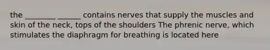 the ________ ______ contains nerves that supply the muscles and skin of the neck, tops of the shoulders The phrenic nerve, which stimulates the diaphragm for breathing is located here