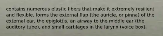 contains numerous elastic fibers that make it extremely resilient and flexible. forms the external flap (the auricle, or pinna) of the external ear, the epiglottis, an airway to the middle ear (the auditory tube), and small cartilages in the larynx (voice box).