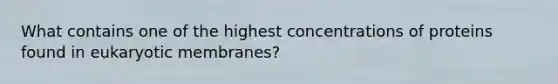 What contains one of the highest concentrations of proteins found in eukaryotic membranes?