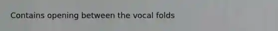 Contains opening between the vocal folds