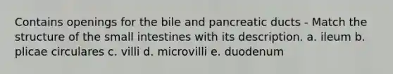 Contains openings for the bile and pancreatic ducts - Match the structure of the small intestines with its description. a. ileum b. plicae circulares c. villi d. microvilli e. duodenum