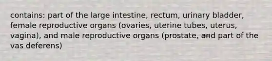 contains: part of the large intestine, rectum, urinary bladder, female reproductive organs (ovaries, uterine tubes, uterus, vagina), and male reproductive organs (prostate, and part of the vas deferens)