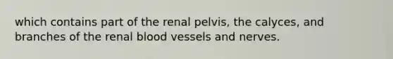 which contains part of the renal pelvis, the calyces, and branches of the renal blood vessels and nerves.