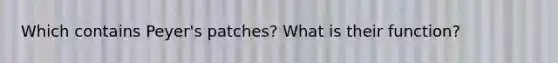 Which contains Peyer's patches? What is their function?