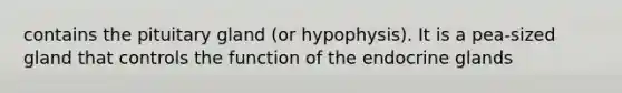 contains the pituitary gland (or hypophysis). It is a pea-sized gland that controls the function of the endocrine glands