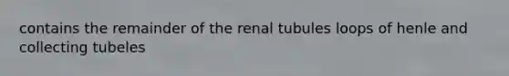 contains the remainder of the renal tubules loops of henle and collecting tubeles