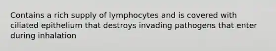 Contains a rich supply of lymphocytes and is covered with ciliated epithelium that destroys invading pathogens that enter during inhalation