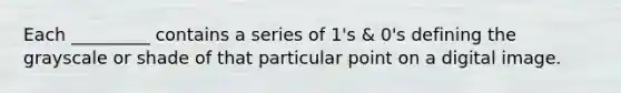 Each _________ contains a series of 1's & 0's defining the grayscale or shade of that particular point on a digital image.