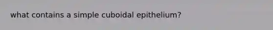 what contains a simple cuboidal epithelium?