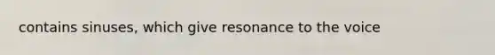 contains sinuses, which give resonance to the voice