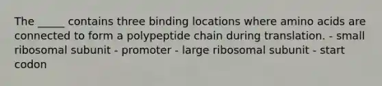 The _____ contains three binding locations where amino acids are connected to form a polypeptide chain during translation. - small ribosomal subunit - promoter - large ribosomal subunit - start codon