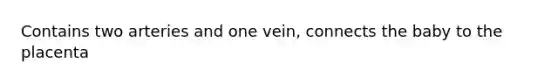 Contains two arteries and one vein, connects the baby to the placenta