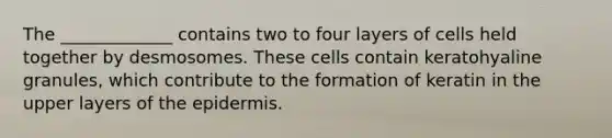 The _____________ contains two to four layers of cells held together by desmosomes. These cells contain keratohyaline granules, which contribute to the formation of keratin in the upper layers of the epidermis.