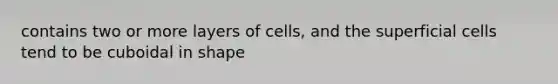 contains two or more layers of cells, and the superficial cells tend to be cuboidal in shape