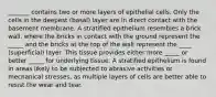 _______ contains two or more layers of epithelial cells. Only the cells in the deepest (basal) layer are in direct contact with the basement membrane. A stratified epithelium resembles a brick wall, where the bricks in contact with the ground represent the _____ and the bricks at the top of the wall represent the ____ (superficial) layer. This tissue provides either more _____ or better _____ for underlying tissue. A stratified epithelium is found in areas likely to be subjected to abrasive activities or mechanical stresses, as multiple layers of cells are better able to resist the wear and tear.