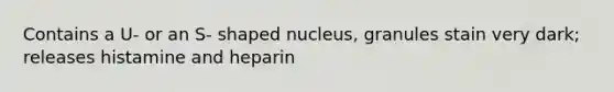 Contains a U- or an S- shaped nucleus, granules stain very dark; releases histamine and heparin