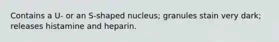 Contains a U- or an S-shaped nucleus; granules stain very dark; releases histamine and heparin.